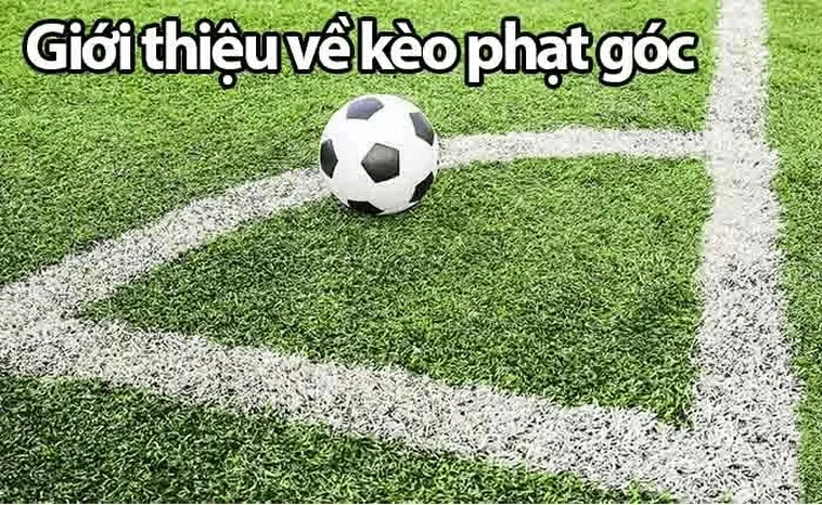 Quả Phạt Góc Trong Bóng Đá: Bí Quyết Chiến Thắng Của Các Đội Tuyển 2 Quả Phạt Góc Trong Bóng Đá: Bí Quyết Chiến Thắng Của Các Đội Tuyển