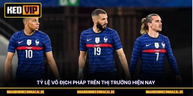 Phân Tích Tỷ Lệ Vô Địch Pháp & Điểm Mạnh Tại World Cup 2026 2 Tỷ lệ vô địch Pháp trên thị trường hiện nay